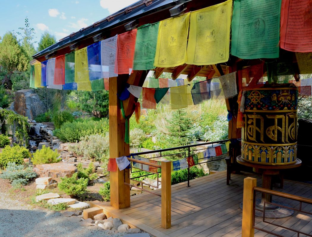 Sawtooth Botanical Garden’s New Executive Director Jen Smith Calls to the Public by Sabina Dana Plasse