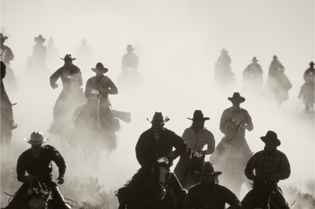 Saddletree Gallery & Framing