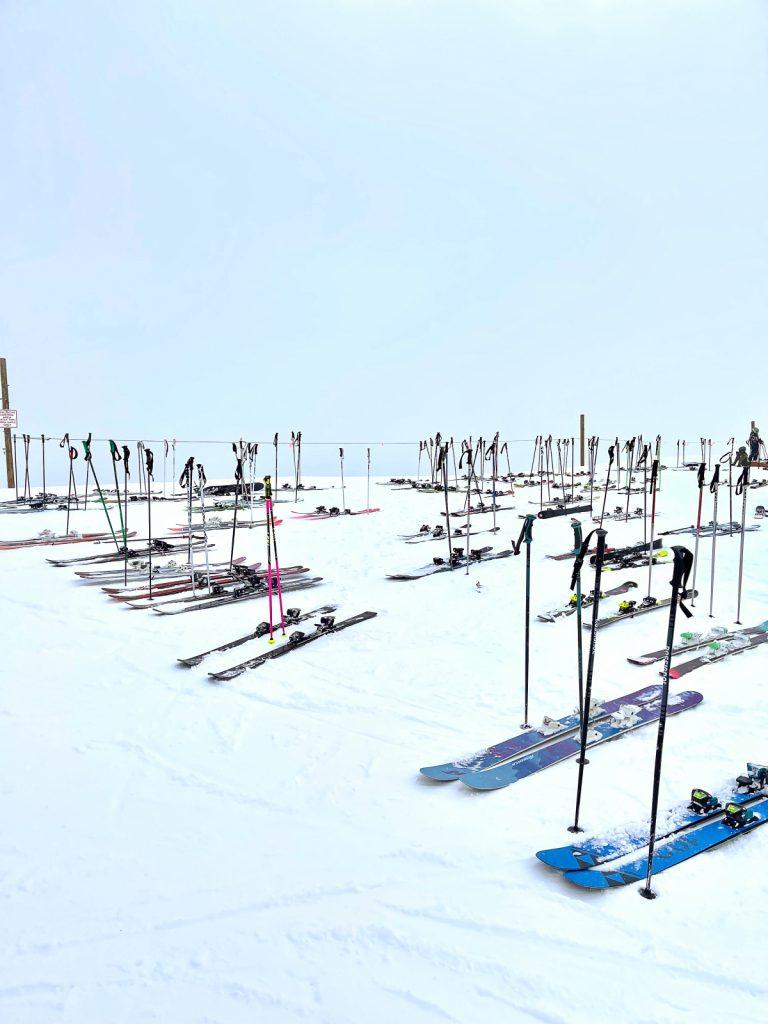 Saddletree Gallery & Framing